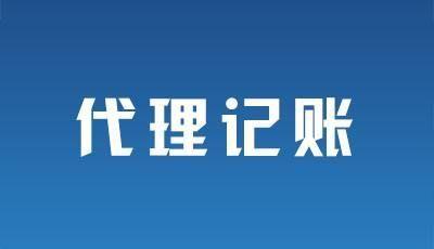 財務(wù)代理(深圳財務(wù)代理中介虛開發(fā)票)