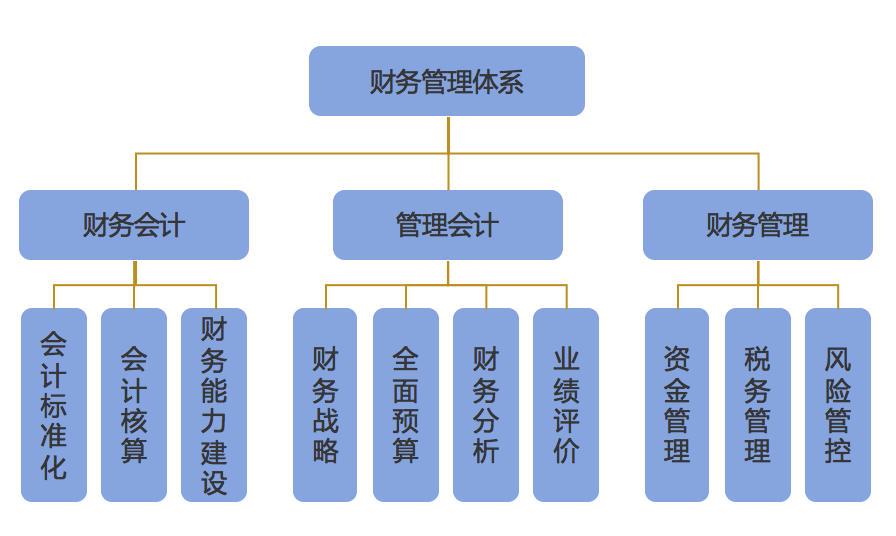 企業(yè)財務管理(財務信息化管理)「理臣咨詢」