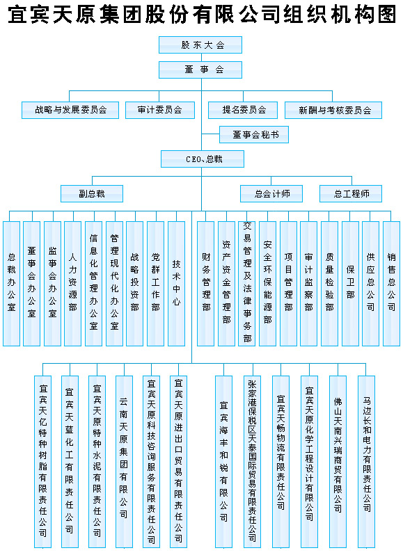 公司財(cái)務(wù)管理(財(cái)務(wù)資金管理)