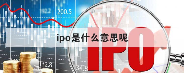 ipo是啥意思(ipo 審核狀態(tài)為已反饋是什么意思)