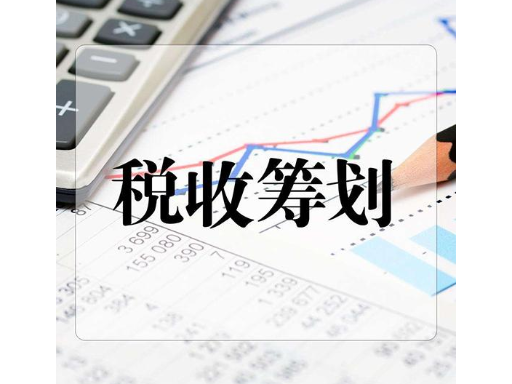 財稅籌劃(企業(yè)財稅實務與財稅基礎知識)