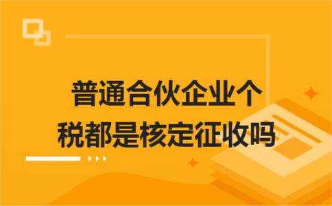 山東稅務納稅籌劃