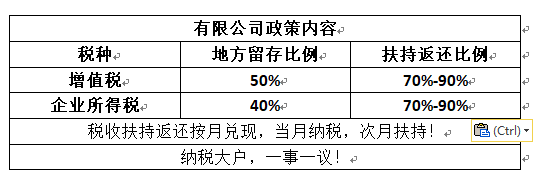 公司如何籌劃稅務(wù)(公司消費(fèi)稅籌劃論文)(圖2)