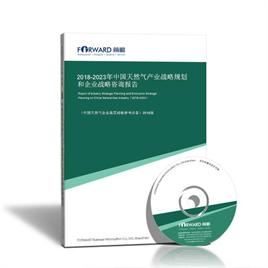 2022-2027年中國天然氣產(chǎn)業(yè)戰(zhàn)略規(guī)劃和企業(yè)戰(zhàn)略咨詢報(bào)告