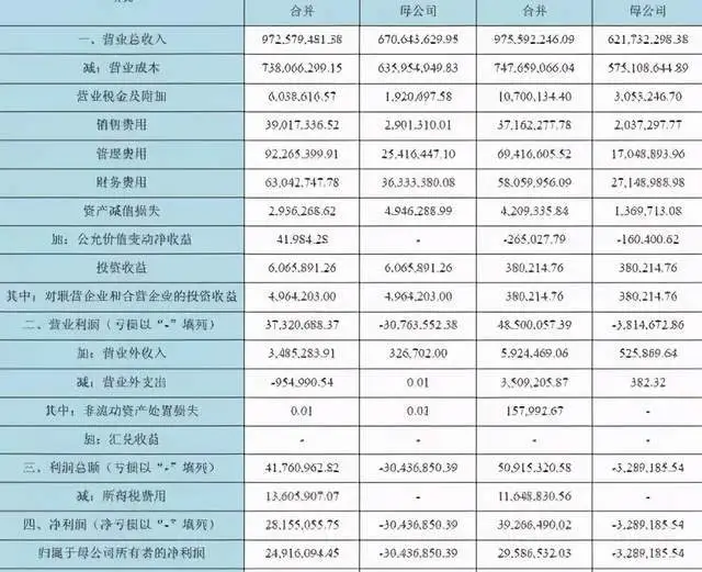 財(cái)務(wù)報(bào)表分析論文(財(cái)務(wù)管理公司分析論文)