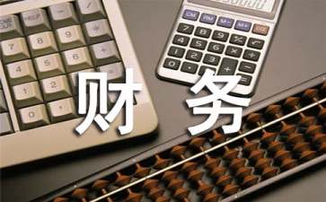 財務公司(內(nèi)部財務分析報告案例(總部和分公司))