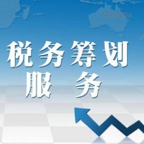 專業(yè)公司的稅務(wù)籌劃(稅務(wù)專業(yè))