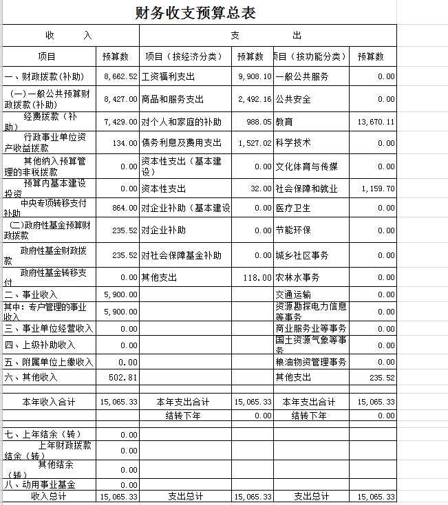 公司財務(wù)分析報告(財務(wù)申請嘉獎報告)