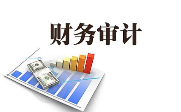 銀行常年財務顧問報告