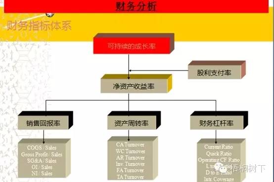 財務分析深度解析（適合收藏）