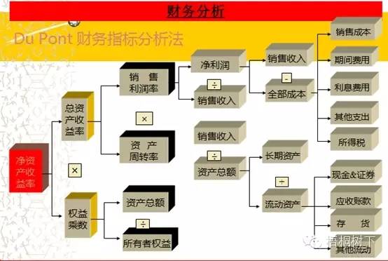 財務分析深度解析（適合收藏）