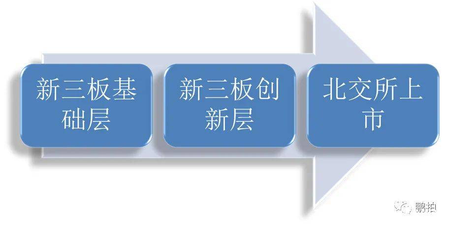 公司上市流程六大階段(深圳天彥上市到了哪個階段)(圖2)