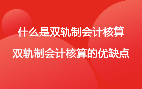 財務(wù)會計核算體系(什么是雙軌制會計核算 雙軌制會計核算的優(yōu)缺點(diǎn))(圖1)